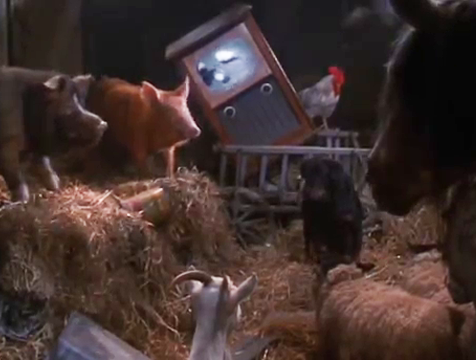 Los animales se calman viendo la televisión en Rebelión en la granja - Cine de Escritor