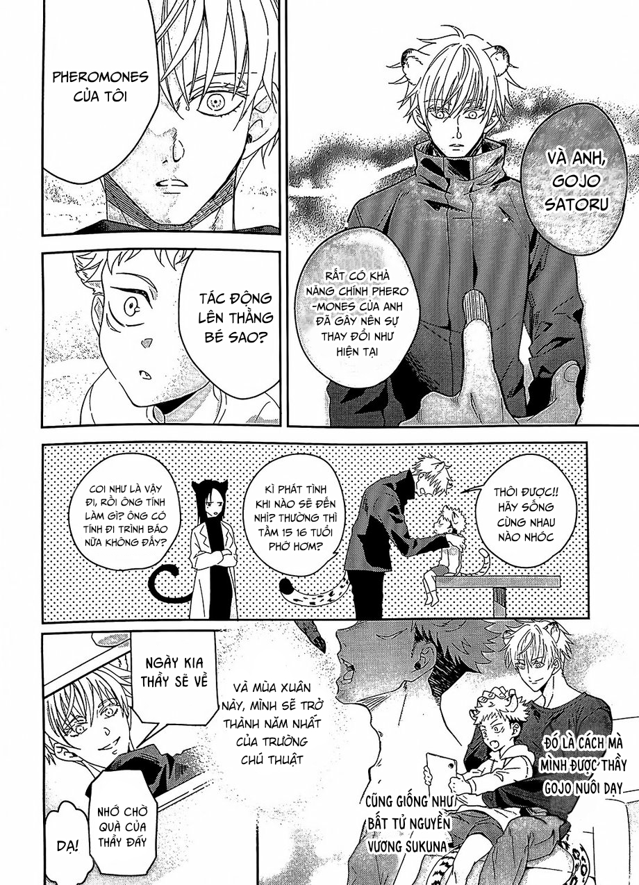 Đọc truyện Jujutsu Kaisen Omegaverse cat - Chapter 1