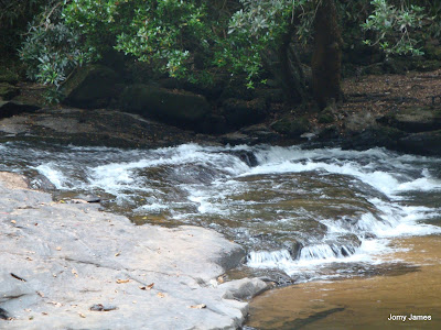 Thommankuthu Waterfall