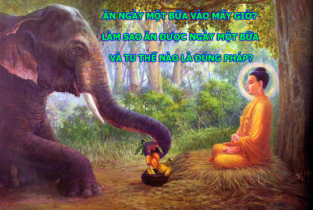 ĂN NGÀY MỘT BỮA VÀO MẤY GIỜ?
