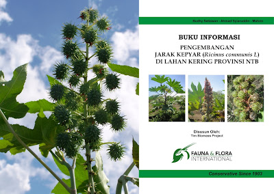 FFI-IP LOMBOK PROJECT: BUKU INFORMASI PENGEMBANGAN JARAK KEPYAR (Ricinus communis L) DI LAHAN KERING PROVINSI NTB