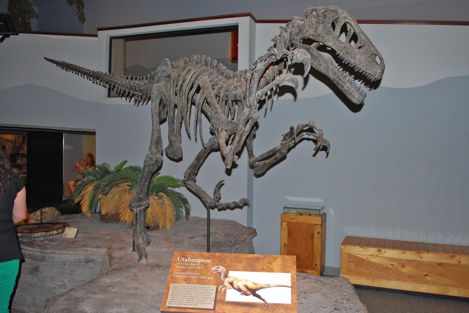 museum of ancient life at thanksgiving point