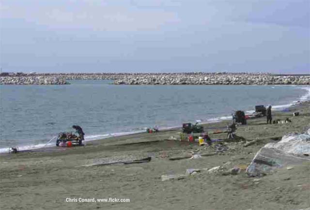 Доклад: Исследование пляжной россыпи золота полуострова Тохареу
