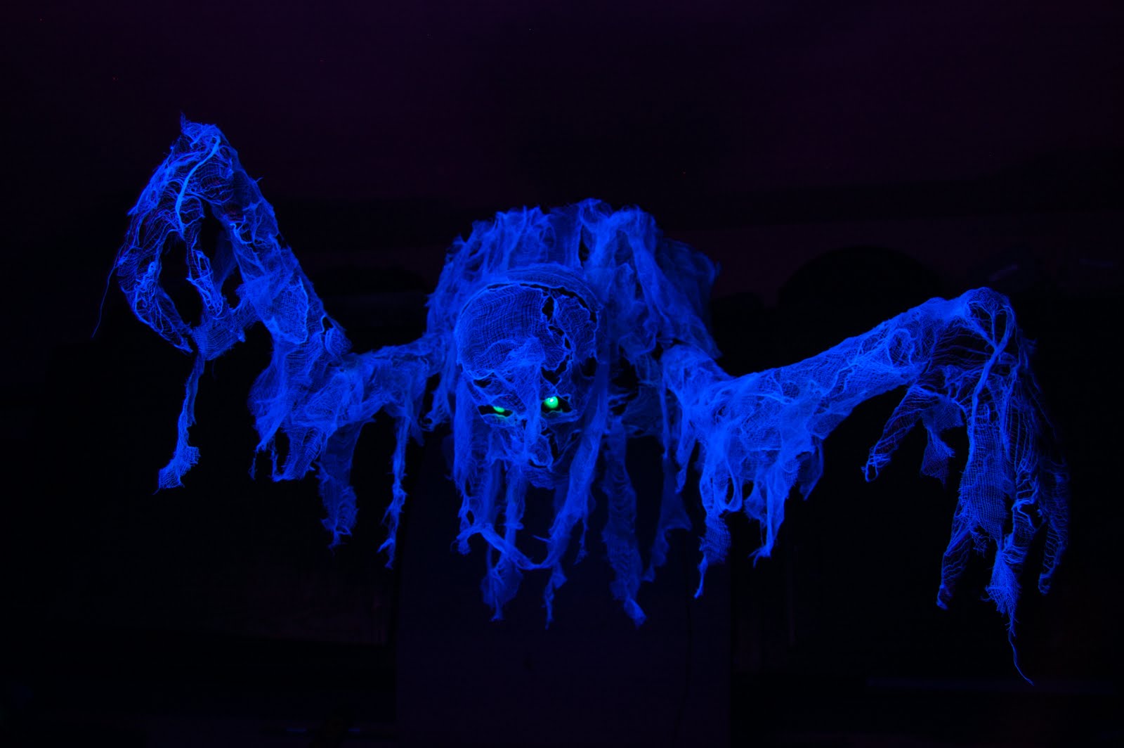 Dr. Theda's Crypt: Halloween Decorations