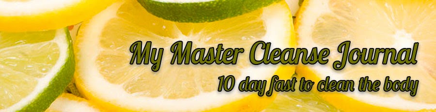 My Master Cleanse Journal