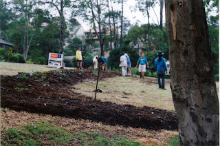 Community planting