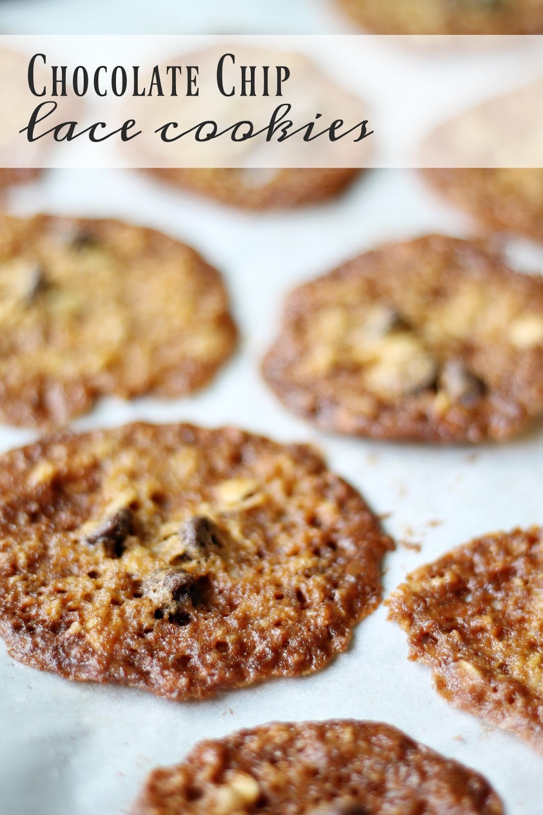 Louisiana Bride Chocolate Chip Lace Cookies