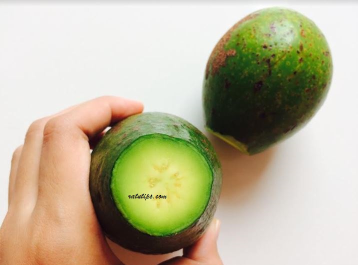 Cara Memeram Alpukat Agar Alpukat Dapat Matang Sempurna Ratutips
