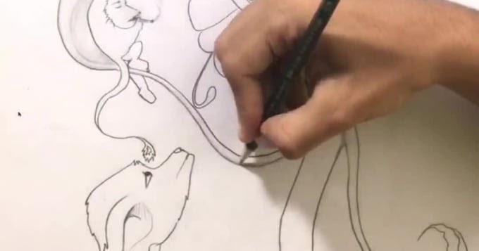 Making Your Crazy Art Ideas Custom Digital Hand drawn Illustrations