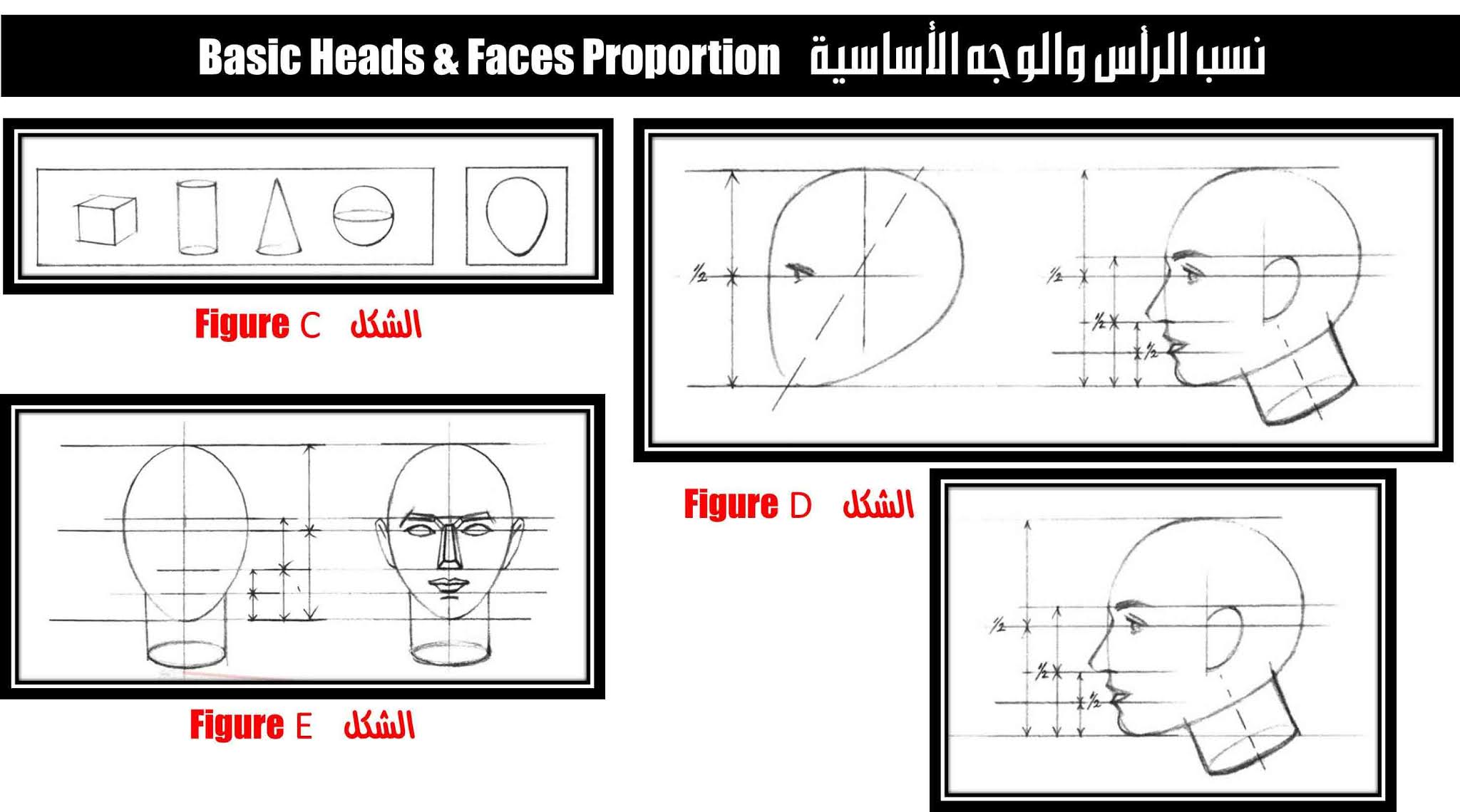 الرسم والتصوير أساسيات عامة لرسم البورتريه ألوان