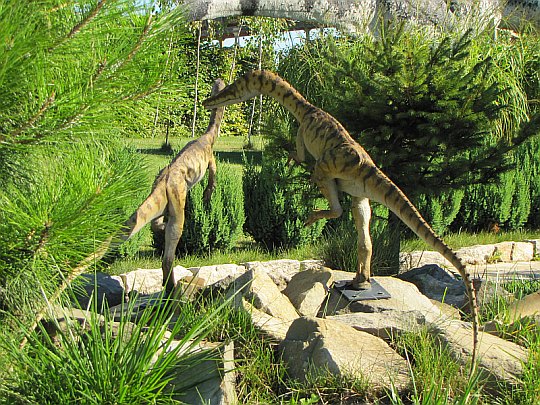 Segizaur (Segisaurus)