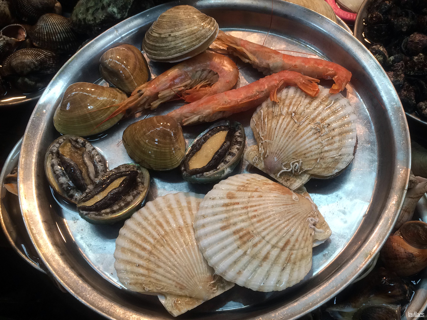 Seoul, Korea - Summer Study Abroad 2014 - Busan Jagalchi Fish Market purchase