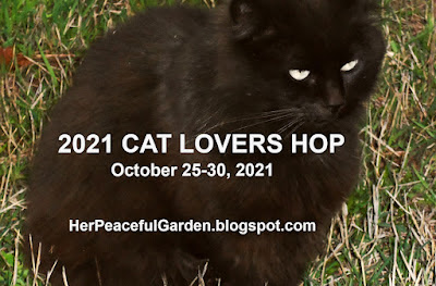 Cat Lovers blog Hop