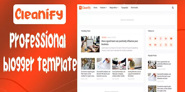 Cleanify professional blogger template