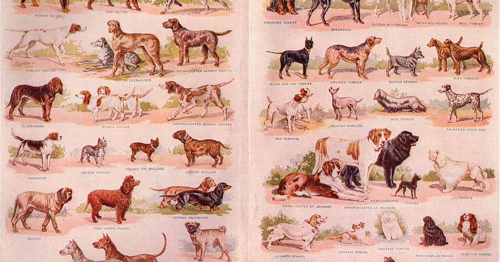 Подпись ускользнула.