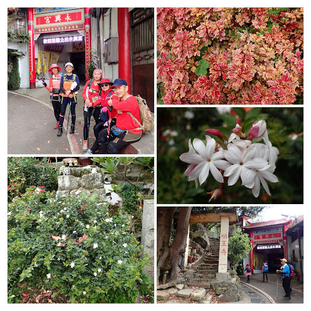 PC180403-COLLAGE.jpg