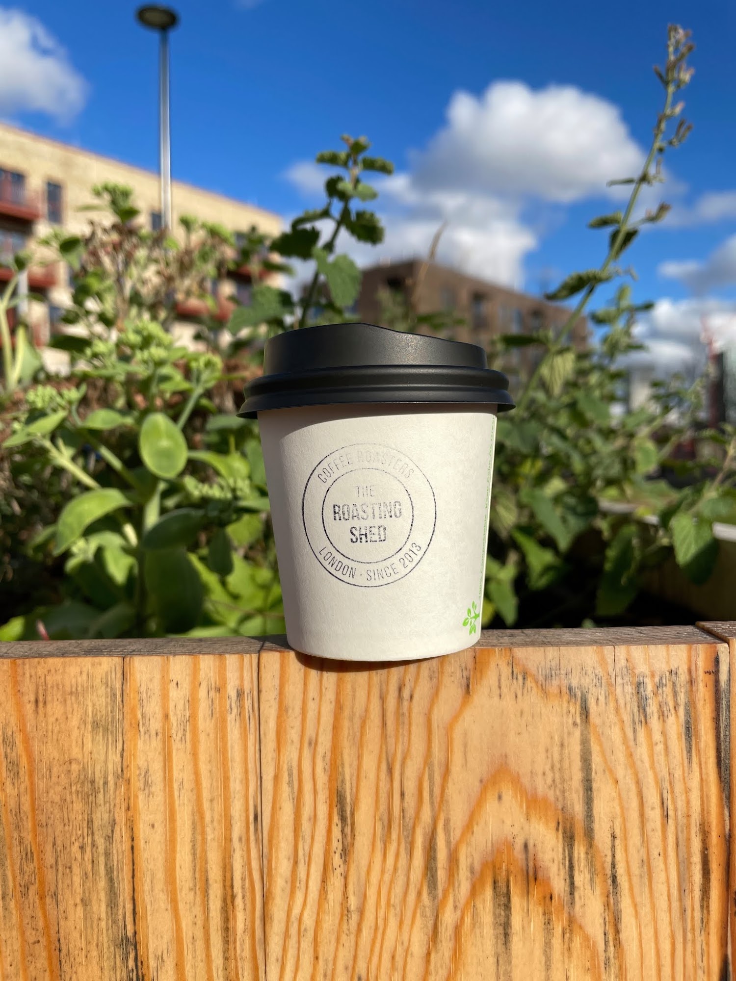 Double Skinny Macchiato The Caffeine Chronicles The Roasting Shed