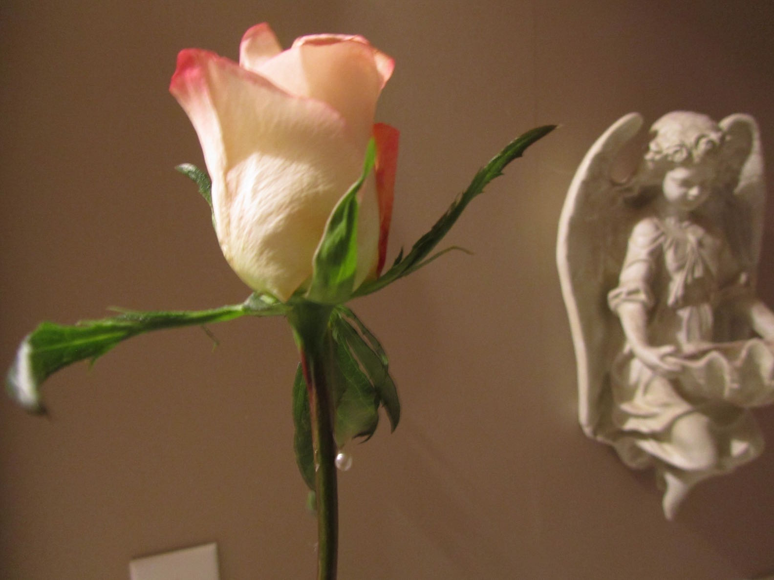 creative savv Salvaging Droopy Roses in a Bouquet Using Straight Pins