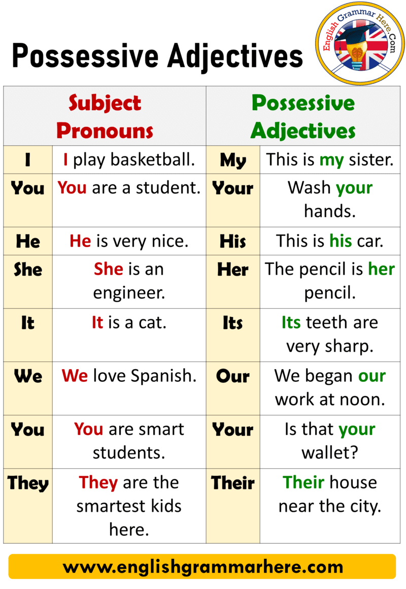 Possessive Sentences Worksheet