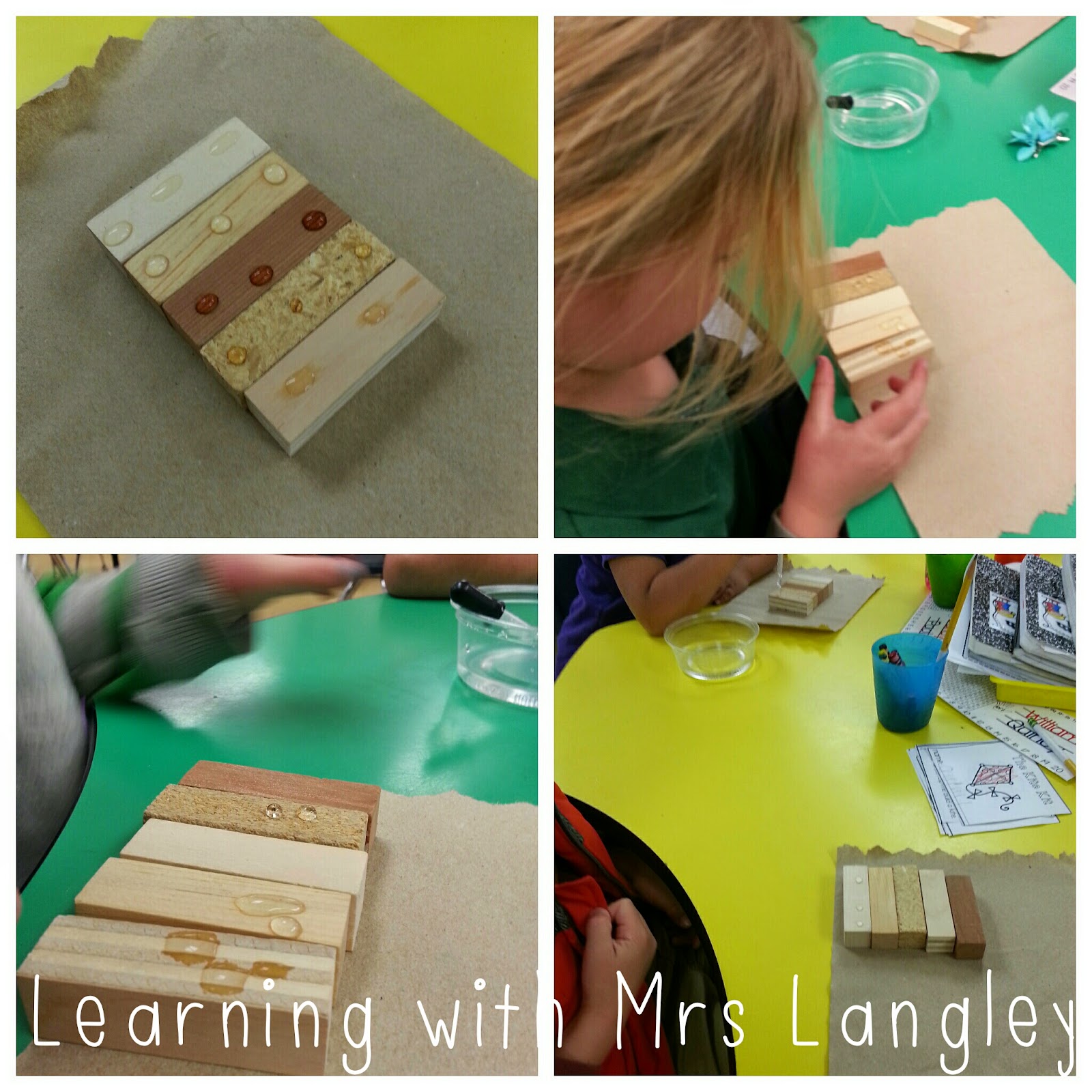 SCIENCE Thursday! Wood and Trees Learning with Mrs. Langley