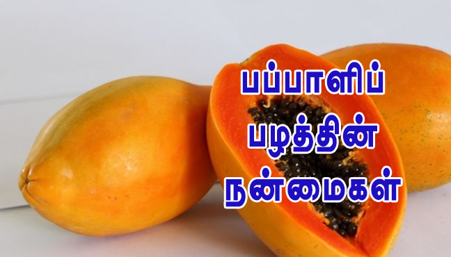 uses of papaya