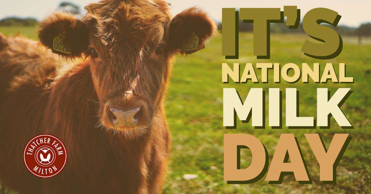 National Milk Day Wishes Lovely Pics