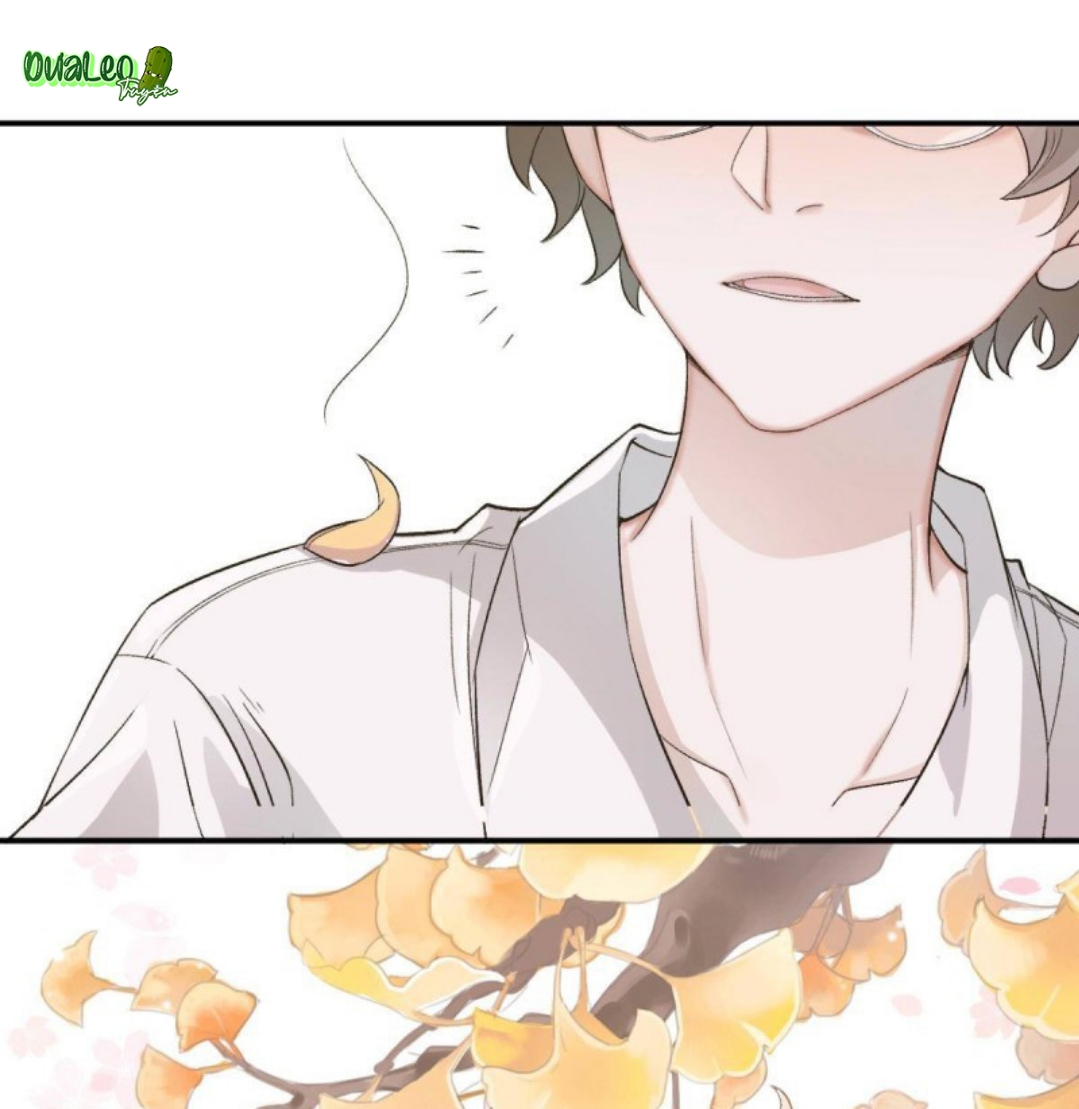 Đọc truyện Pheromone phi lý - Chapter 5