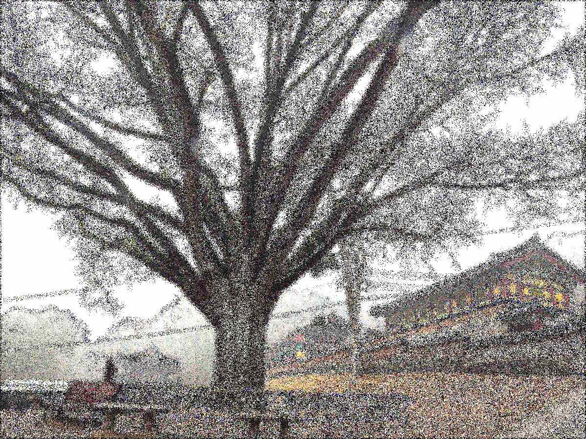 원주 구룡사 원주 구룡사