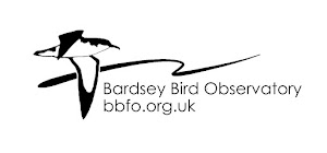 Bardsey Bird and Field Observatory
