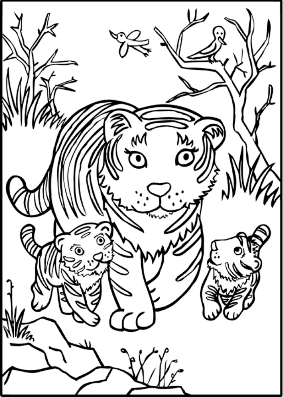 Baby tiger and tiger cub coloring pages