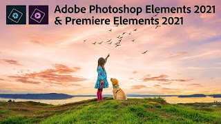 adobe premiere elements 15 for mac adobe premiere elements 15 for mac