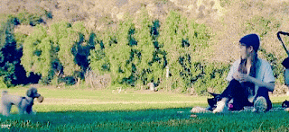 191219%2B%25ED%258E%25AB%25ED%2583%25B1%