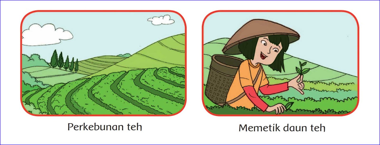 Kunci Jawaban Buku Siswa Tema 4 Kelas 4 Subtema 1 Halaman 2, 3, 4, 5, 7