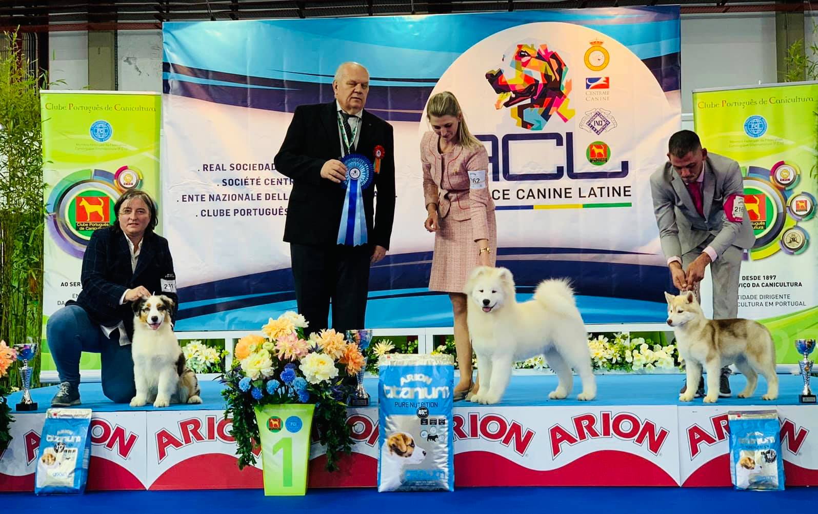 PORTO INTERNATIONAL DOG SHOW 2020