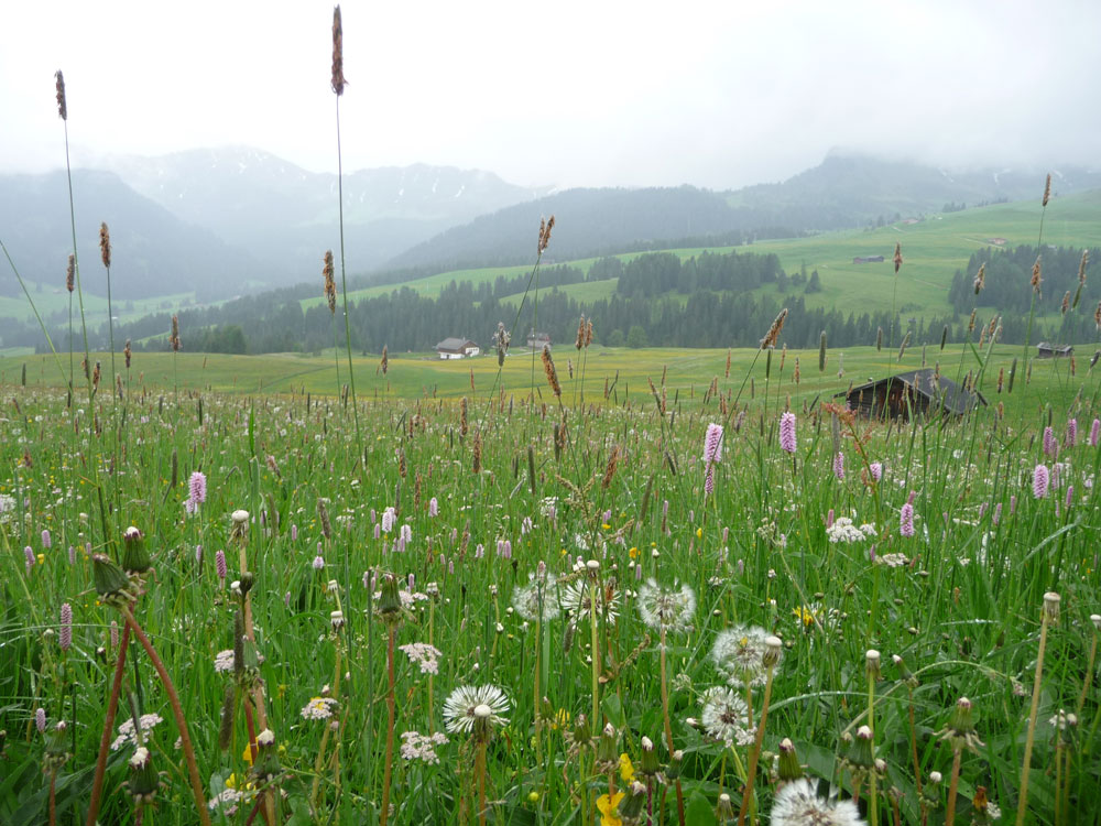 Visit the Dolomites 6 suggestions for rainy days