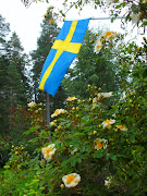 Sommar, sommar och sol?