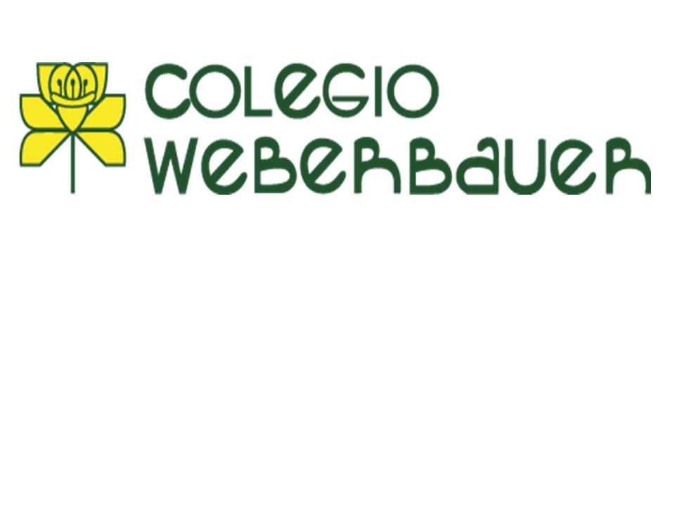 escuela visual data 7