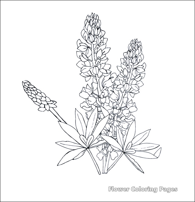 Free Flower Coloring Pages For Kids Easy Printable - COLORING PAGES FOR