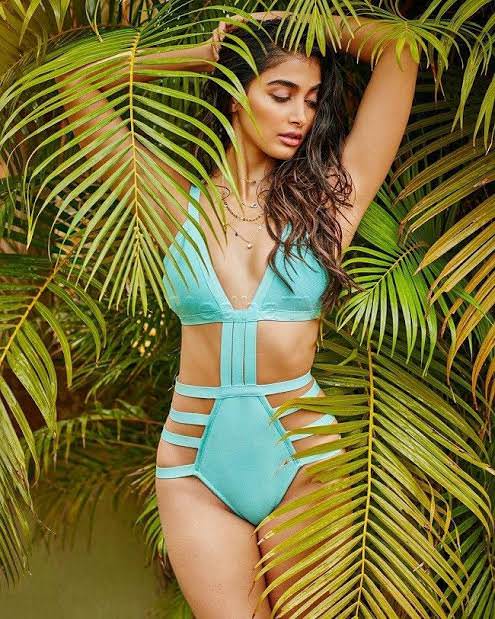 Pooja Hegde Sexy Bikini Photoshoot