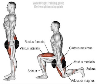 Dumbell-lunges
