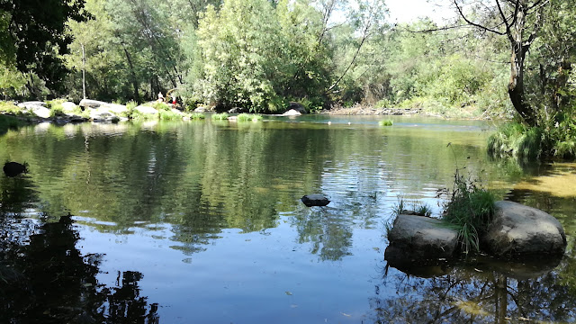 Espelho de água do Rio Cávado