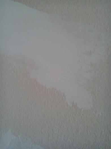 Imagen 0