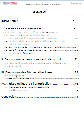 plan mémoire sciences sociales