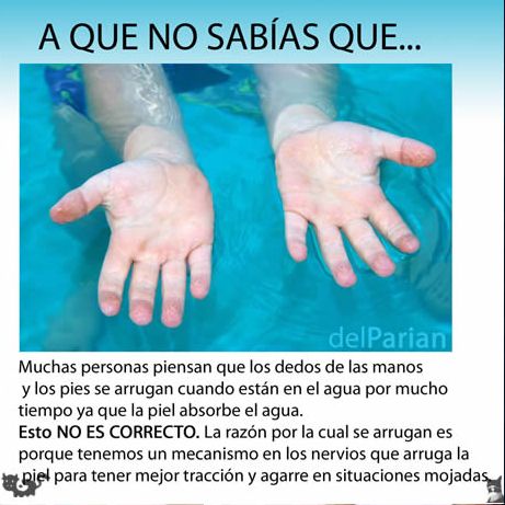 MEXICOGEEK: A QUE NO SABIAS