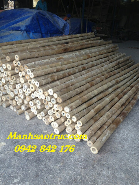 cung cấp tre trúc cung cấp tre trúc