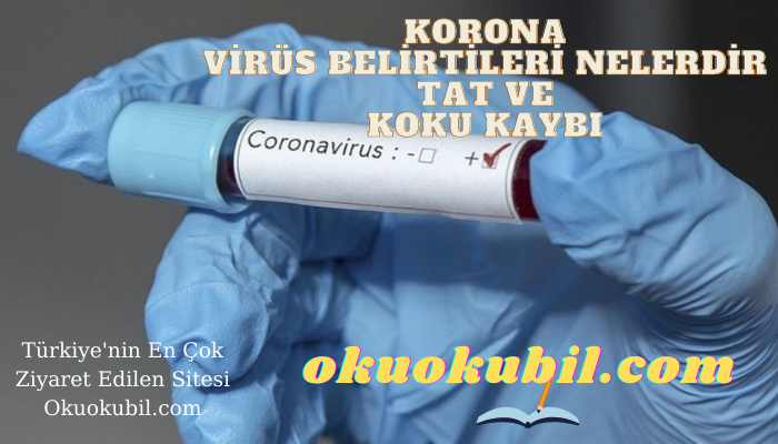 Koronavirüs Belirtileri Nelerdir, Tat Ve Koku Kaybı Kaçıncı gün Ortaya Çıkar?