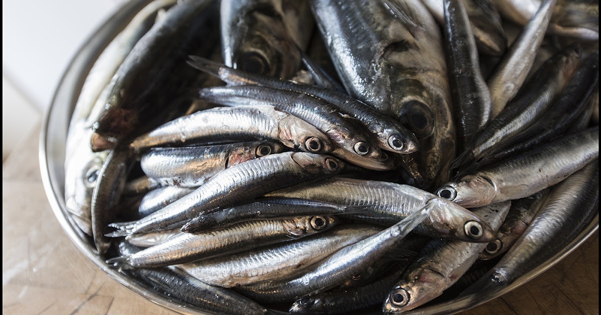Cuisine de caractère Anchois au sel