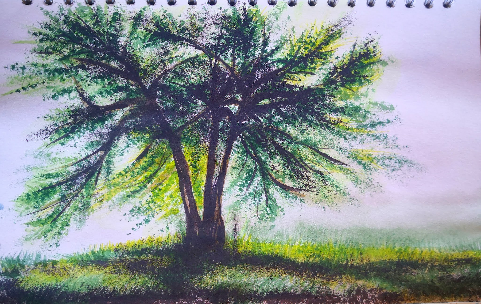 19+watercolor ideas, 4watercolor history, come to see my web