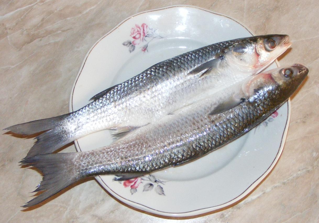 Peste chefal fript la tigaie cu legume | Preparatedevis.ro