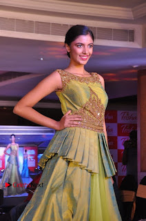 South Indian Celebrities Pos at Love For Handloom Collection Fashion Show  0004